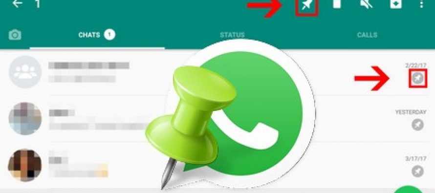 WhatsApp beta vous permet de placer les personnes en haut de votre liste de chat