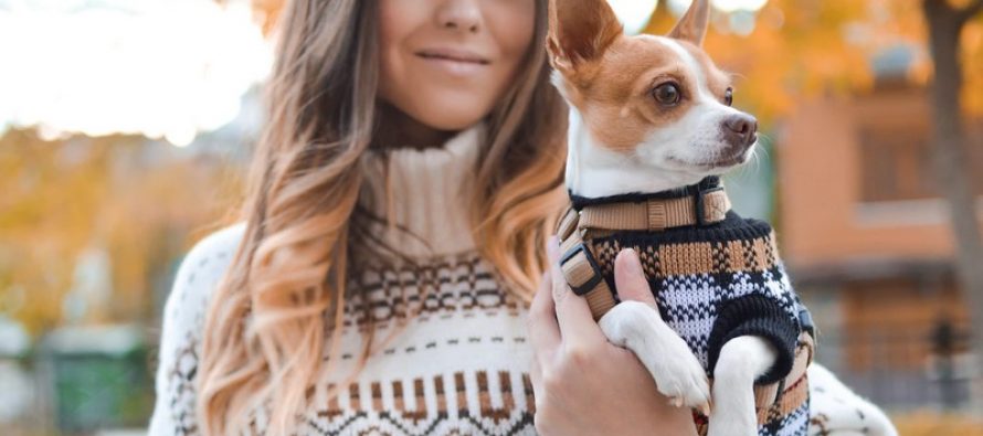 Top 15 des applications animaux de compagnie pour Android et iOS