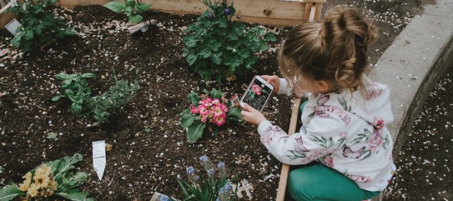 10 meilleures applications de jardinage pour Android et iOS